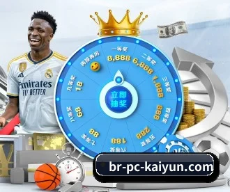 开云 APP 深度功能（KaiyunSports）