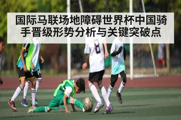 国际马联场地障碍世界杯中国骑手晋级形势分析与关键突破点 - KaiyunSports